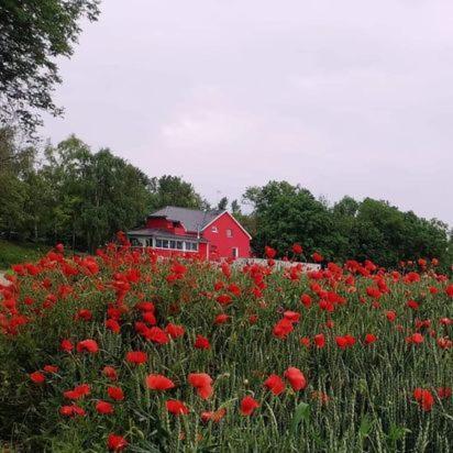 Bed and Breakfast Au Hameau De L'Ecluse Proche Europa-Park Маркольсайм Экстерьер фото